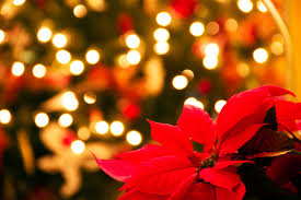 Christmas X  New Year™