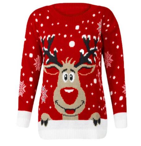 Winter Christmas sweater